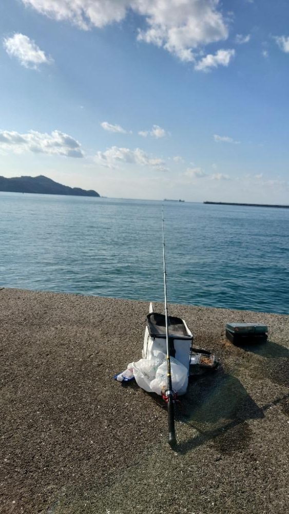 秋のカワハギ釣り