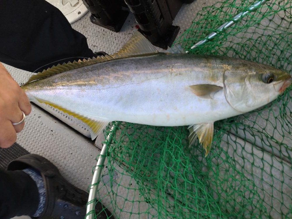 最後の最後に本命