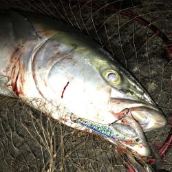 ブリが釣れるポイント