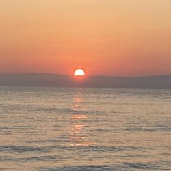 エギング〜ジギング