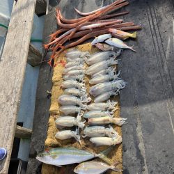 アオリイカ釣り