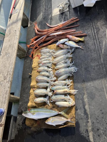 アオリイカ釣り
