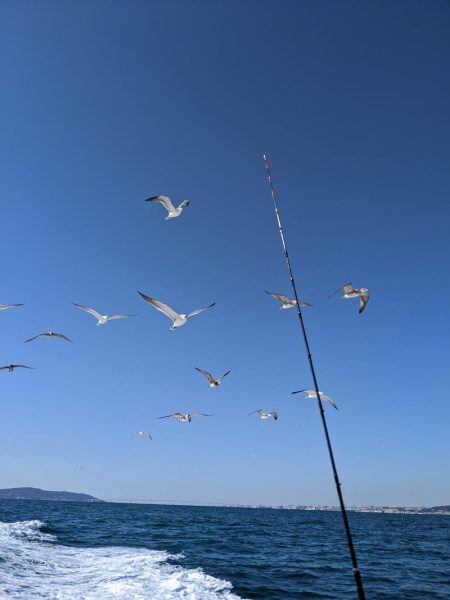 二回目の船タチウオテンヤ