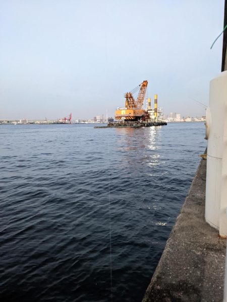 コスモでカワハギ調査