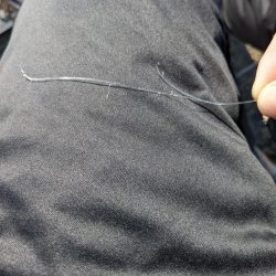 悲劇からの奇跡