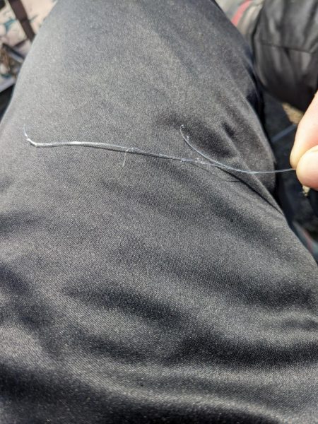 悲劇からの奇跡