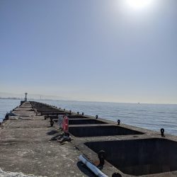 激渋リベンジブリ