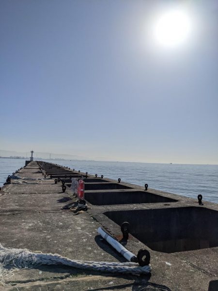 激渋リベンジブリ