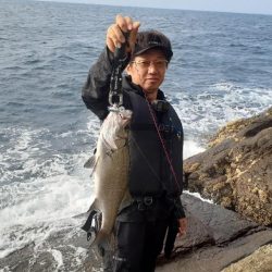 渋い磯釣りイカに癒され