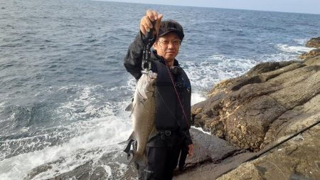 渋い磯釣りイカに癒され