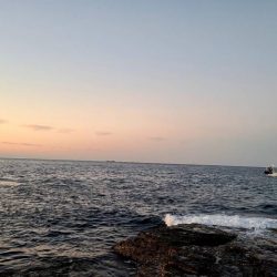 和歌山市江（吉丸渡船）で磯フカセ