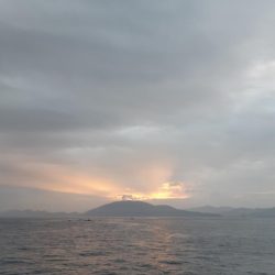 イカの気持ち９