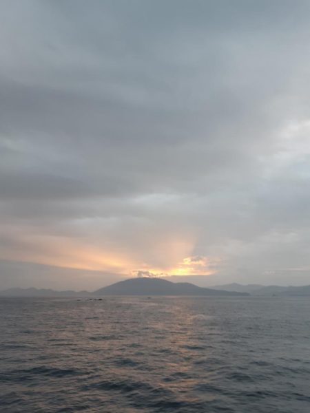 イカの気持ち９