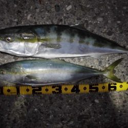 日没後の猛打賞?