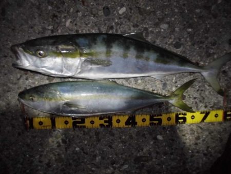 日没後の猛打賞？