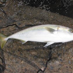 朝の猛打賞は8時から