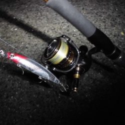 ゴリゴリゴリゴリ…