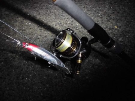 ゴリゴリゴリゴリ…