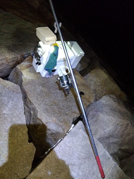 室津のキス釣り