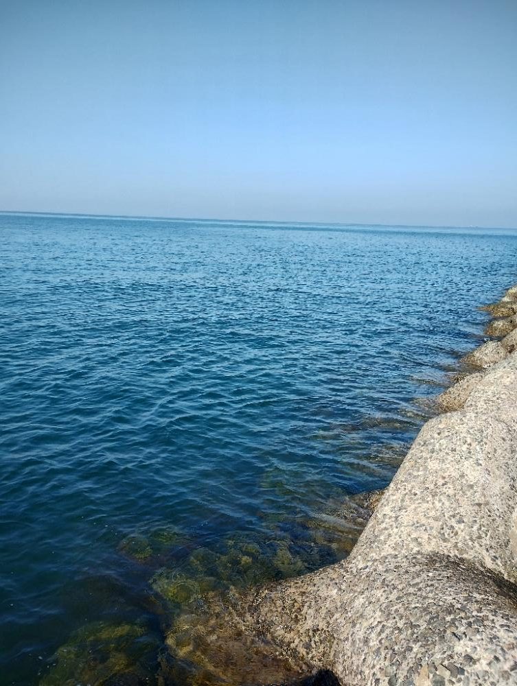 大阪産カワハギ