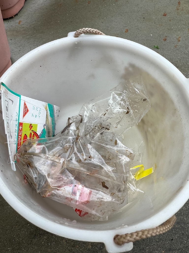 おめでとうございま~すっ!!