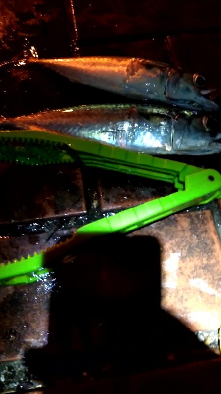 夜明けまでが勝負