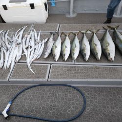 ブリ、太刀魚 ジギング行ってきました。