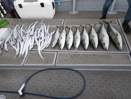 ブリ、太刀魚 ジギング行ってきました。