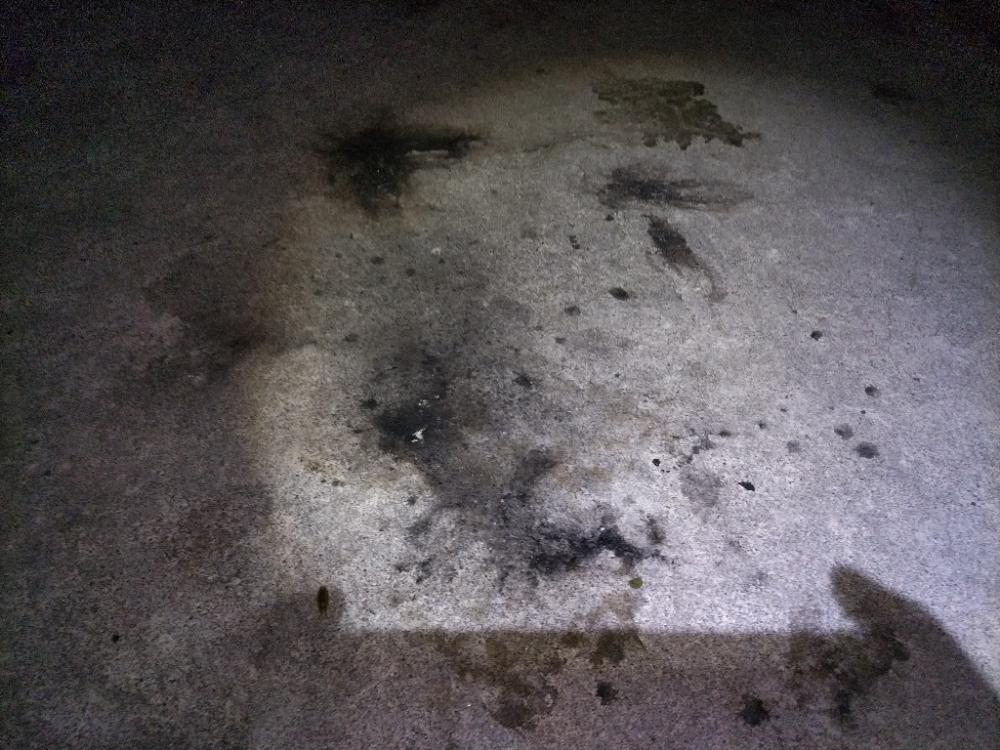 観光港にて調査報告！