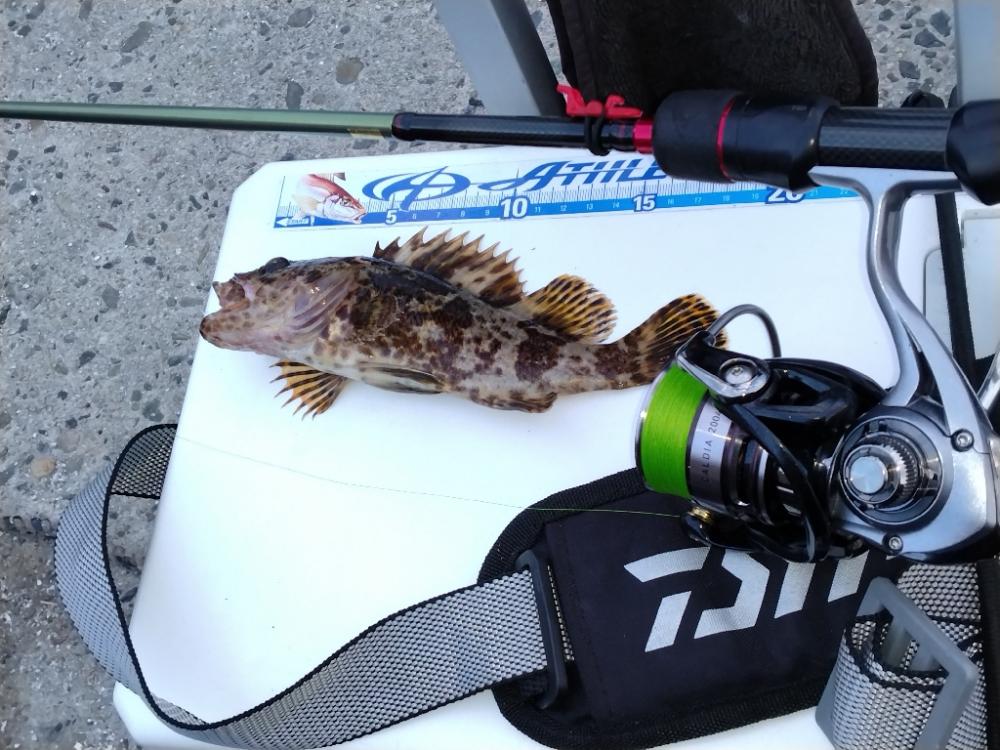 ロックフィッシング