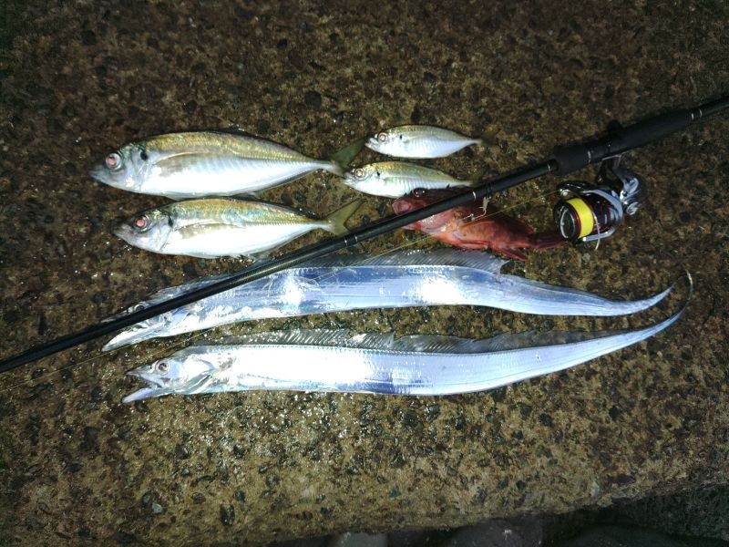 (尺アジ)フロートゲーム～