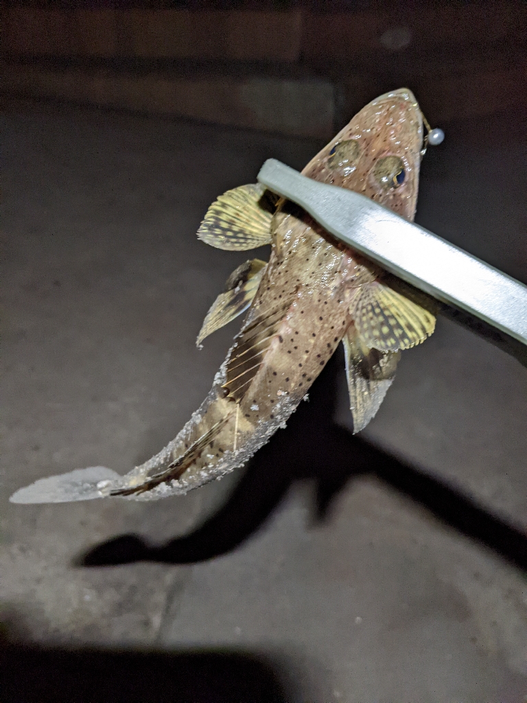 寒くなったなぁ