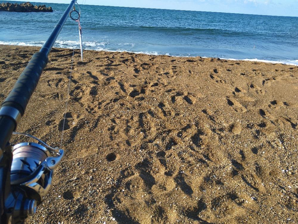 サーフでナブラ撃ち