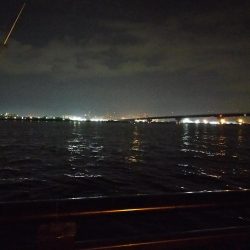 夜釣り、太刀魚はいない。