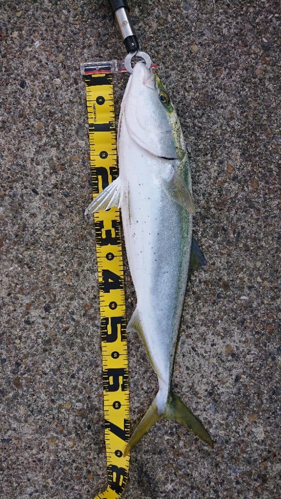 2022播磨遠征第3回