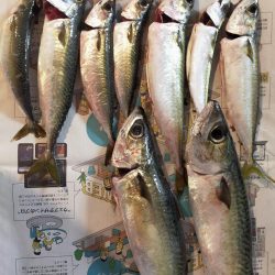 夜釣りでウキ釣り