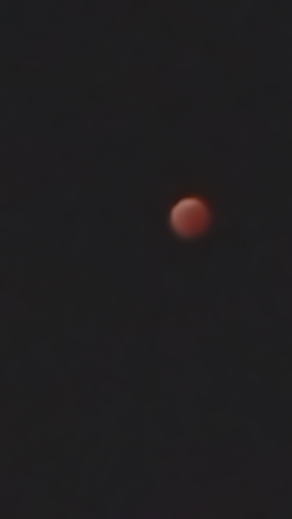 釣りと天体観測