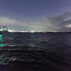 夕暮れのプチsalt water game