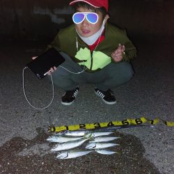 プチファミリーフィッシング　GAME