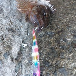 プチsalt water game