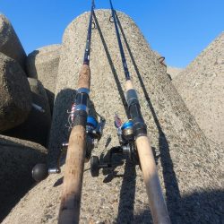 プチsalt water game