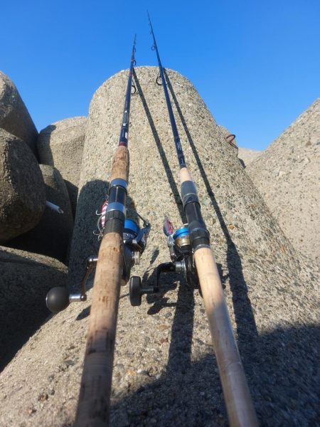 プチsalt water game