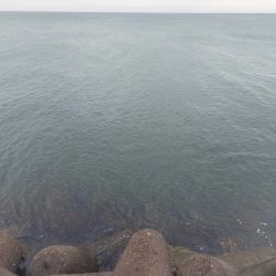 プチsalt water game