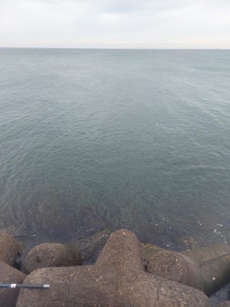 プチsalt water game