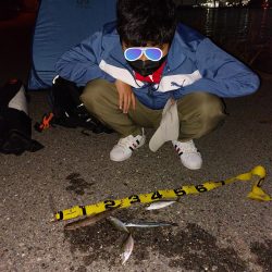 プチファミリーフィッシング　GAME