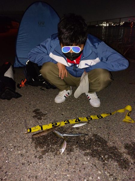 プチファミリーフィッシング　GAME