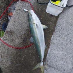 プチsalt water game