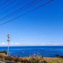 11/3　初のソロ釣り！中アジ大量！ちょっと大きいグレ！