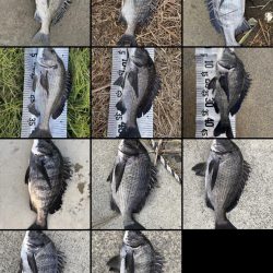 イチノ兄弟(兄)釣果!