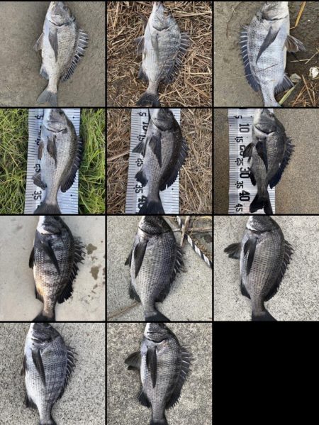 イチノ兄弟(兄)釣果!